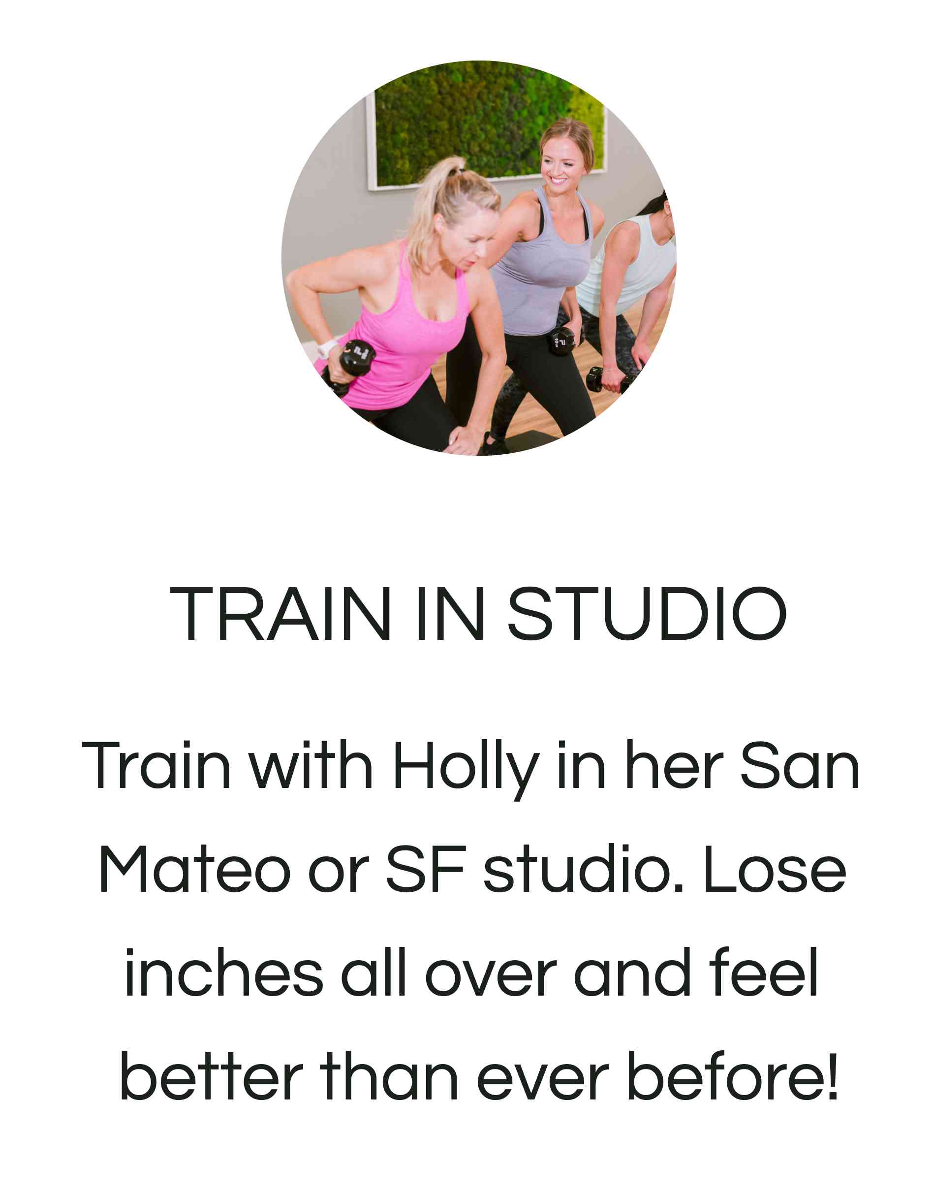 Train In Studio At Holly Roser Fitness In San Mateo